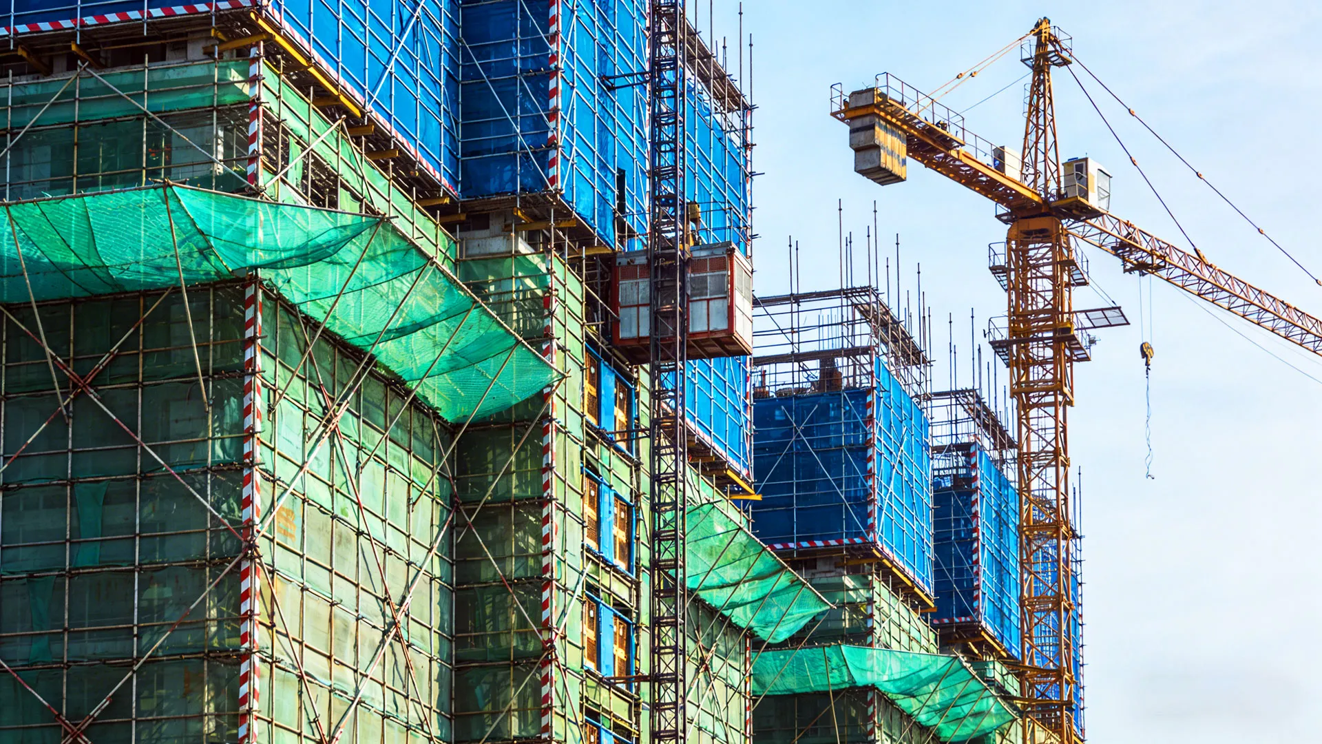 Debris Netting Image 4