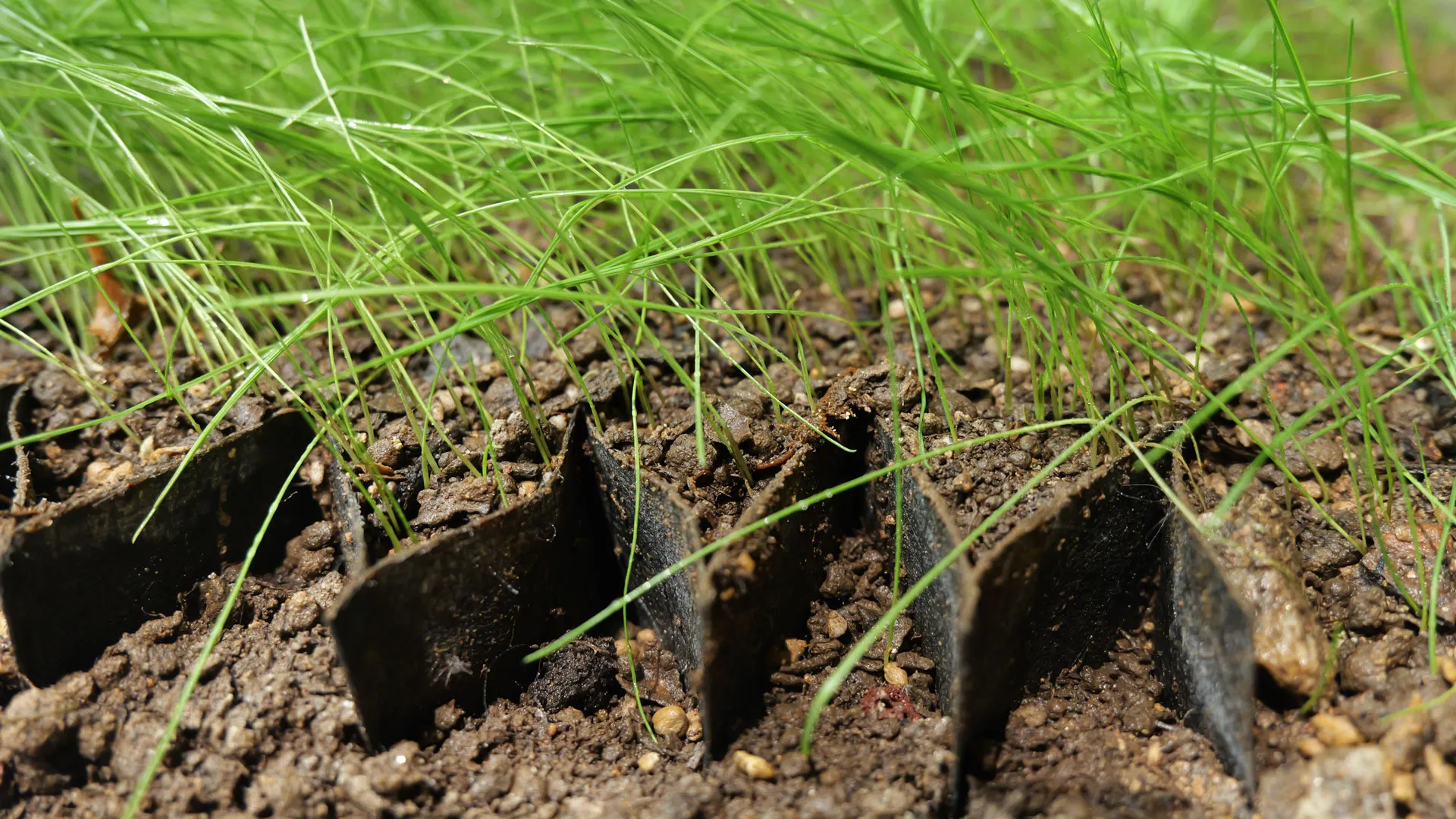 Non-woven Fabric Geocell